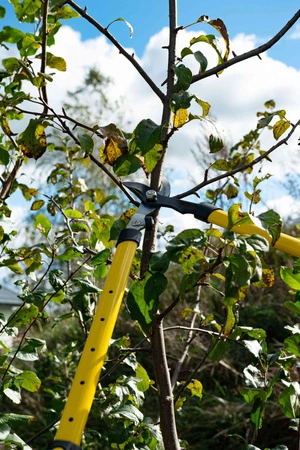 Sekator teleskopowy do gałęzi 650-900mm