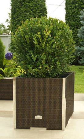 Donica ogrodowa technorattanowa 46x46x46cm aluminiowe elementy RD08 - Słomkowy